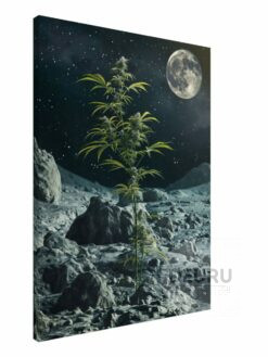 834c093d-264c-432b-93f3-dddc3936ef73